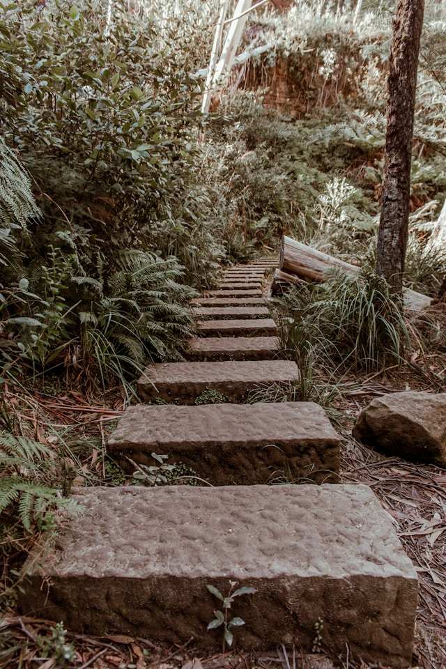 Steps to take for making your first open source contribution